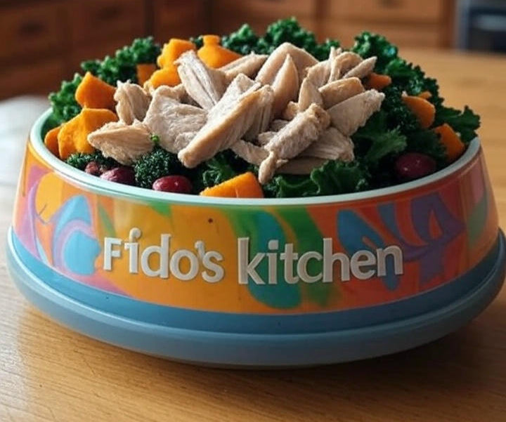 Fido's Kitchen USA