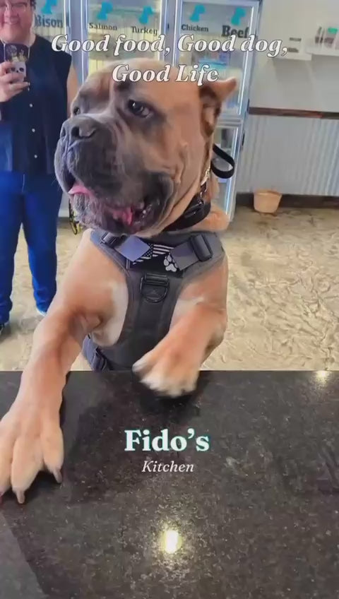 Feed Fido's