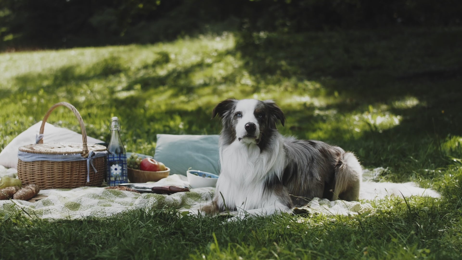 Fido's Kitchen USA